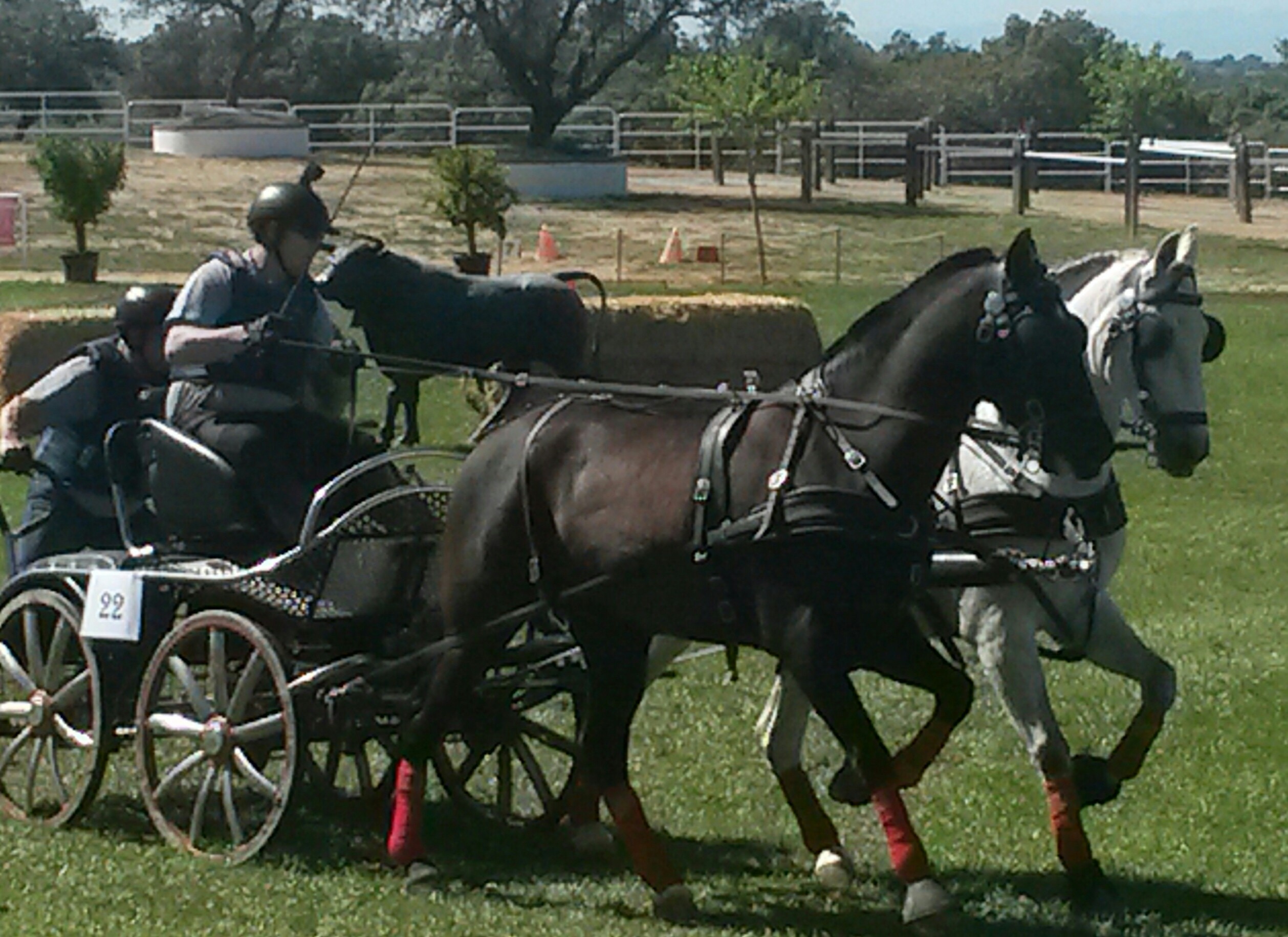 El equipo navarro de enganches destacó en el concurso Indoor finca el Quemado en Arenas de San Pedro (Ávila)